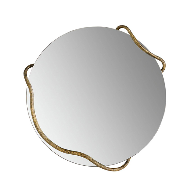 Snake Shape Frame Art Mirror